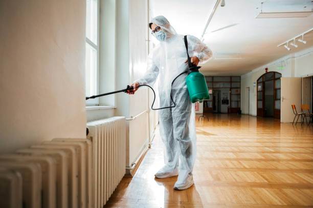 Best Pest Control for Hotels  in Louise, TX